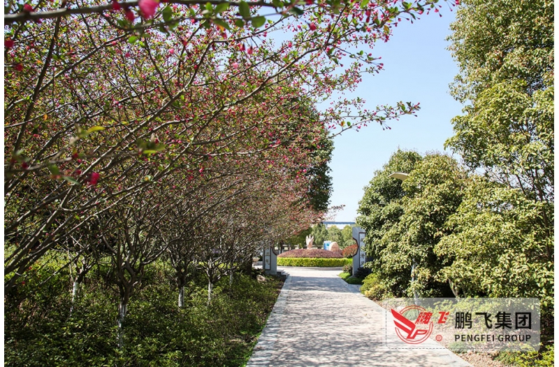 鹏飞文化广场